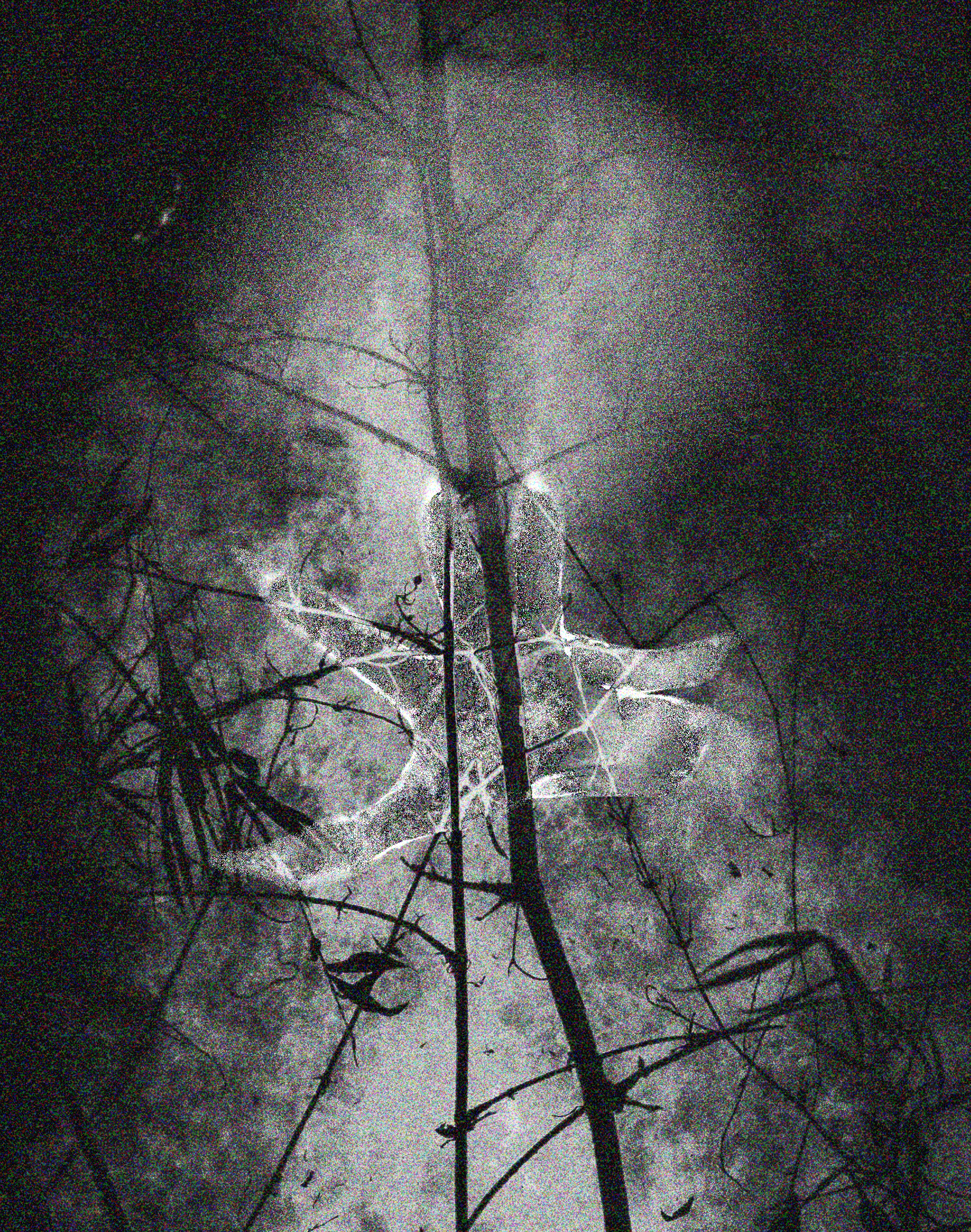 An photoshopped image of a creature I made for a class back in spring of 2023. The image itself is of an ethereal hand reaching out from the snowy forest trees and  toward the viewer, with colorful noise scattered across the picture. It is known as a resurrection god, but I honestly forgot the name of it. It is known to dwell in snowy forests, and to scorch the souls of those who ask for its blessing without a proper offering. This is to say, it's radioactive, and the noise on the photo (in lore from 1949, when there wasn't color in photographs) reflects that.